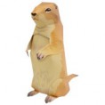 /album/fotogaleria/prairie-dog-thm-2-jpg/